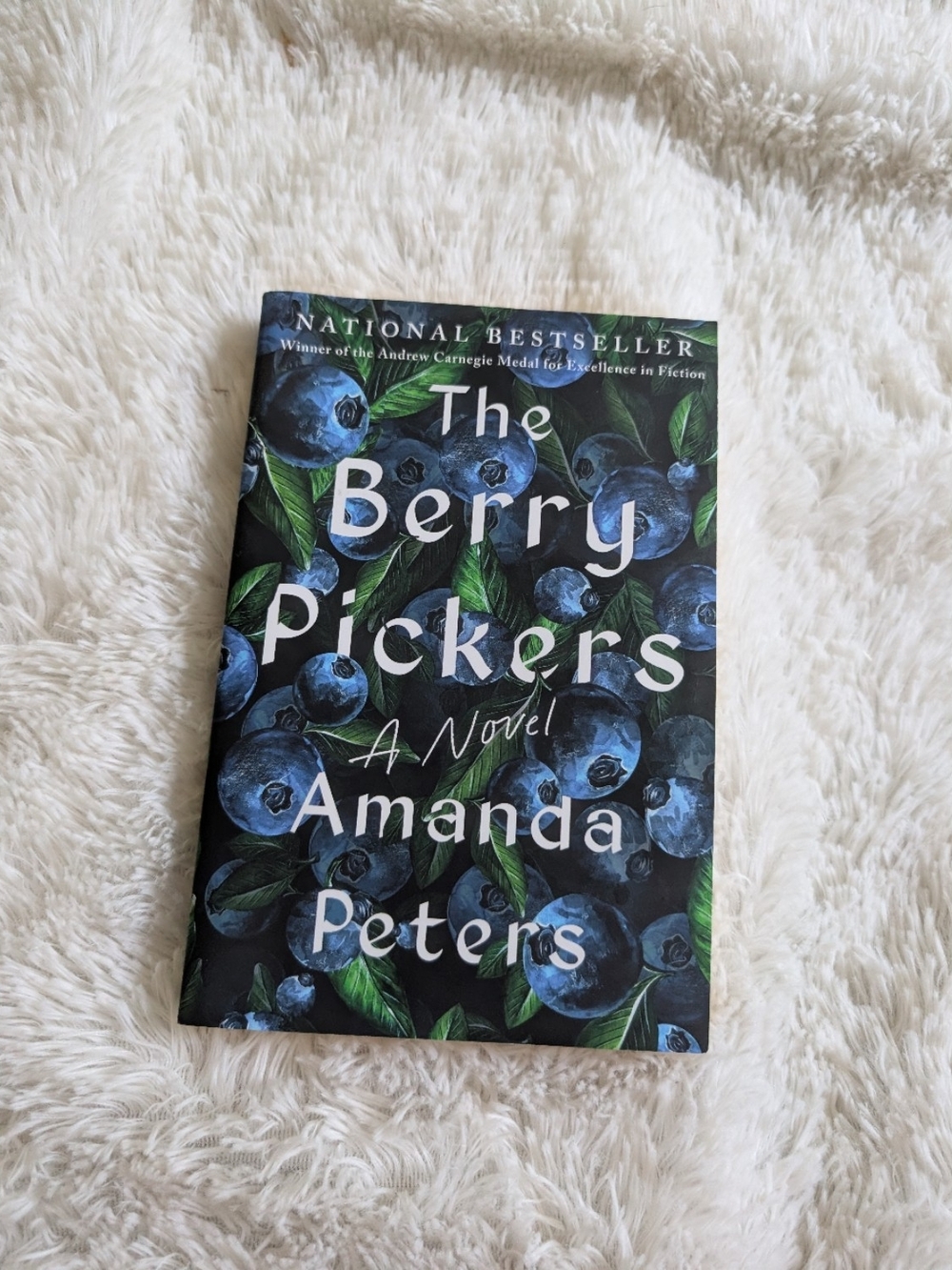 The Berry Pickers by Amanda Peters Paperback Book